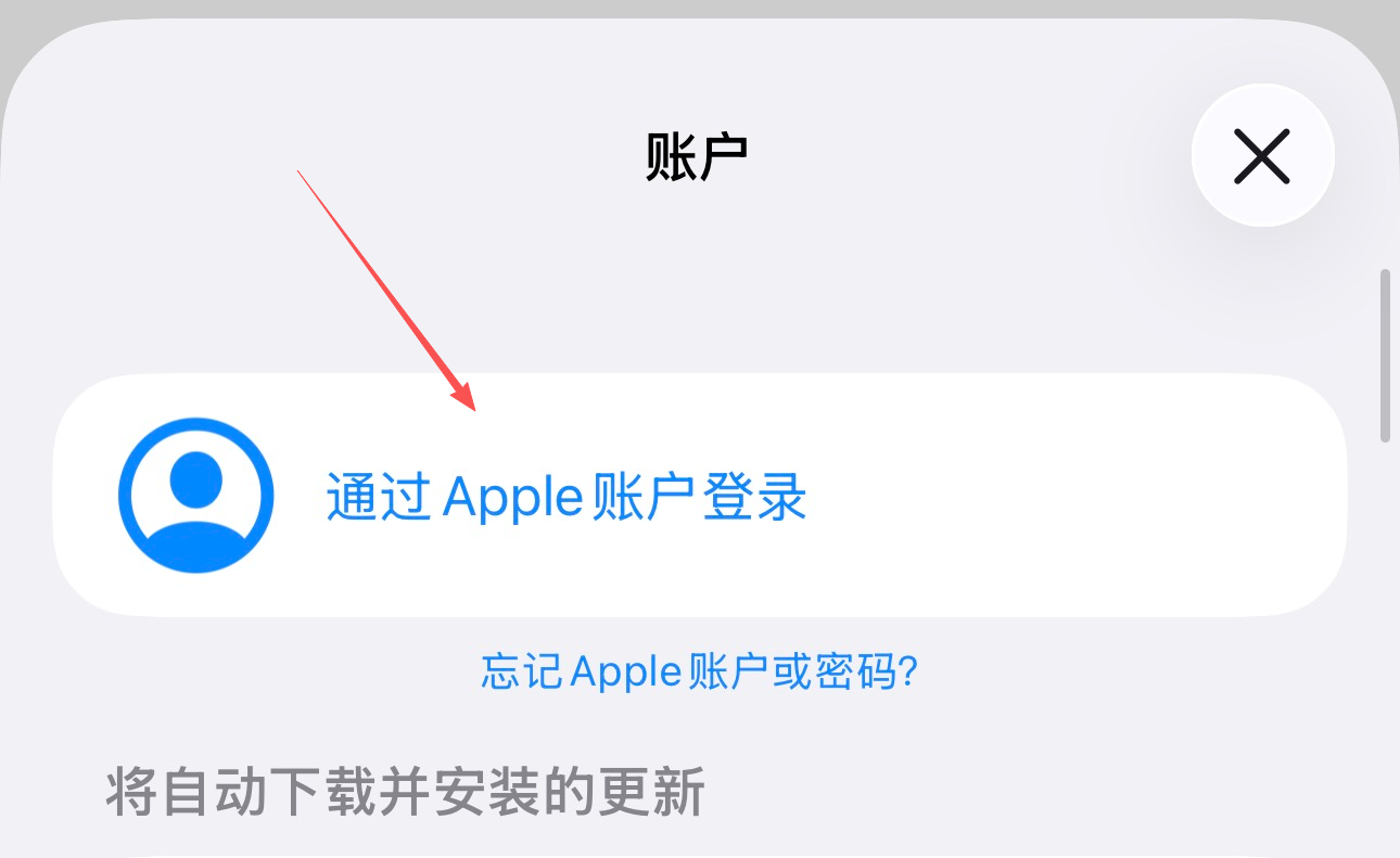 选择通过 Apple 账户登录
