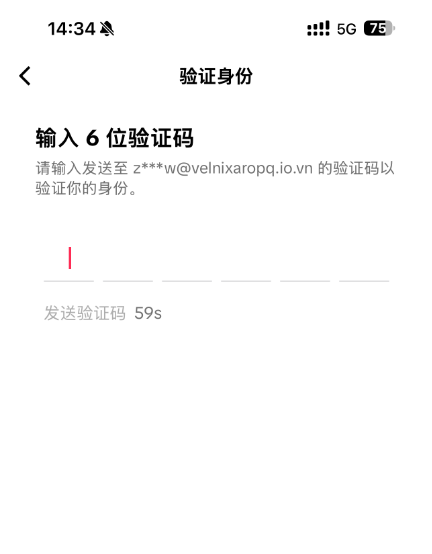 输入 6 位验证码